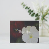 フローラありがとう ポストカード (スタンド正面)