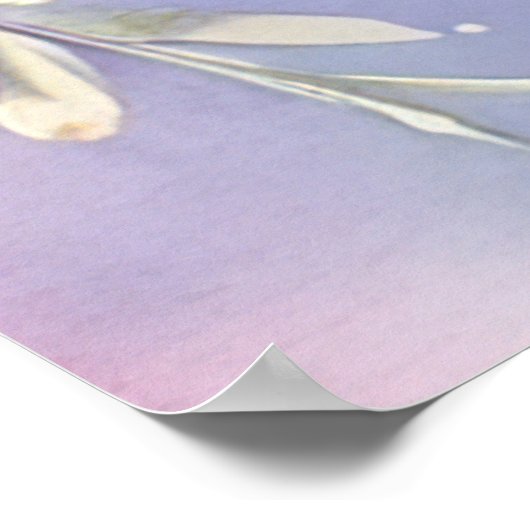 フローラお洒落バタフライアートタイムレス美しい ポスター (角)