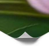 フローラかわいいグレー猫 ポスター (角)