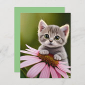 フローラかわいいグレー猫 出欠カード (正面/裏面)