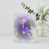 フローラかわいらし ポストカード (スタンド正面)