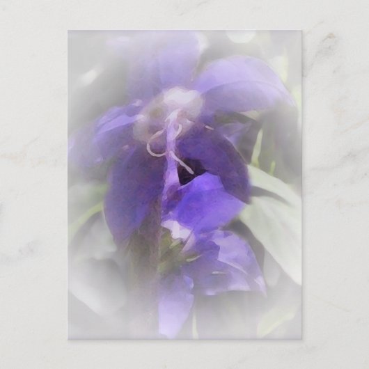 フローラかわいらし ポストカード (正面)