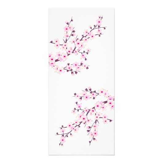 フローラさくらんぼピンク白サービス価格 ラックカード (裏面)