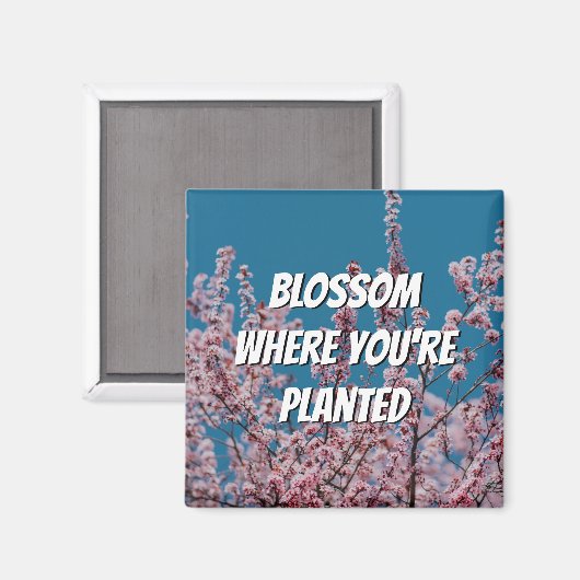 フローラさくらんぼ咲くあなたは植えられた場所 マグネット (正面/裏面)