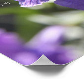 フローラのポスターと希望と信仰についての聖書の詩 ポスター (角)