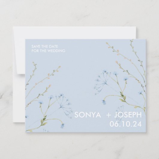 フローラの保存 (正面)