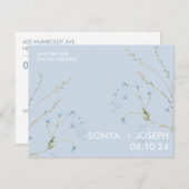 フローラの保存 (正面/裏面)