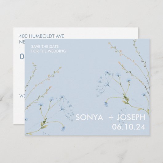 フローラの保存 (正面/裏面)