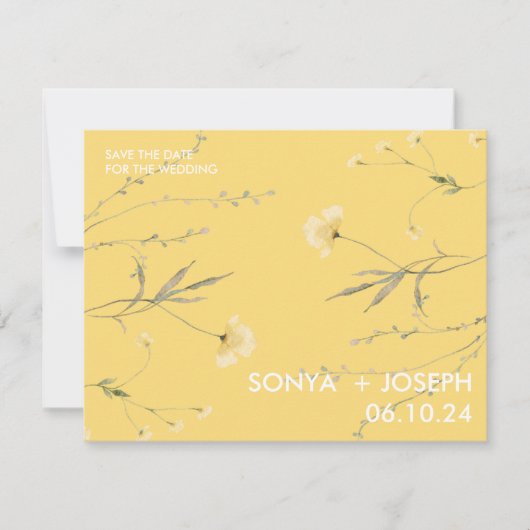 フローラの保存 (正面)