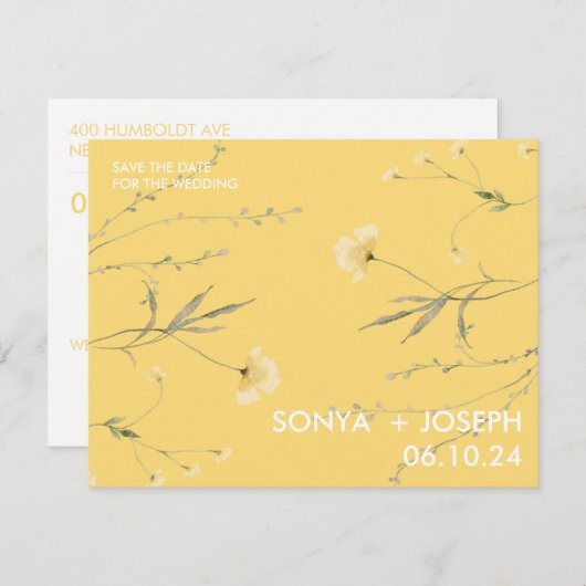 フローラの保存 (正面/裏面)