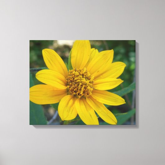フローラの完成度の黄色 キャンバスプリント (正面)