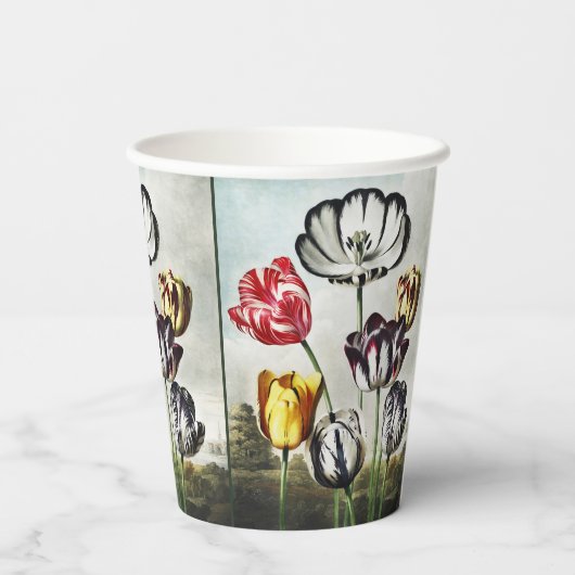 フローラの神殿からジョン・ソーントン・チューリップ 紙コップ (裏面)