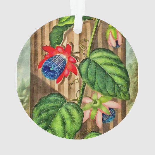 フローラの翼のあるパッションフラワーテンプル – クリスマス オーナメント (裏面)