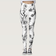 フローラの輪郭