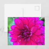 フローラはがき ポストカード (正面/裏面)