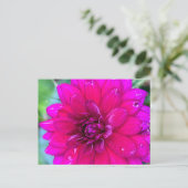 フローラはがき ポストカード (スタンド正面)