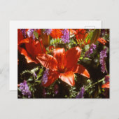 フローラはがき ポストカード (正面/裏面)