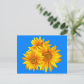 フローラひまわり黄色い花ブルースカイ ポストカード (スタンド正面)