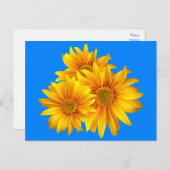 フローラひまわり黄色い花ブルースカイ ポストカード (正面/裏面)