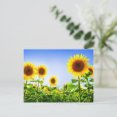 フローラひまわり黄色い花色 ポストカード (スタンド正面)