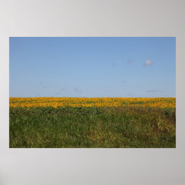 フローラぼやけ ポスター