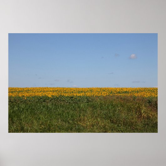 フローラぼやけ ポスター (正面)