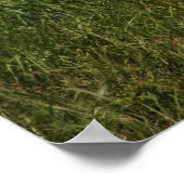 フローラぼやけ ポスター (角)