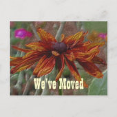 フローラアートデイジー新しい住所はがき 案内ポストカード (正面)