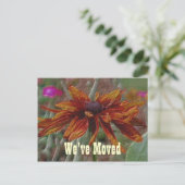 フローラアートデイジー新しい住所はがき 案内ポストカード (スタンド正面)