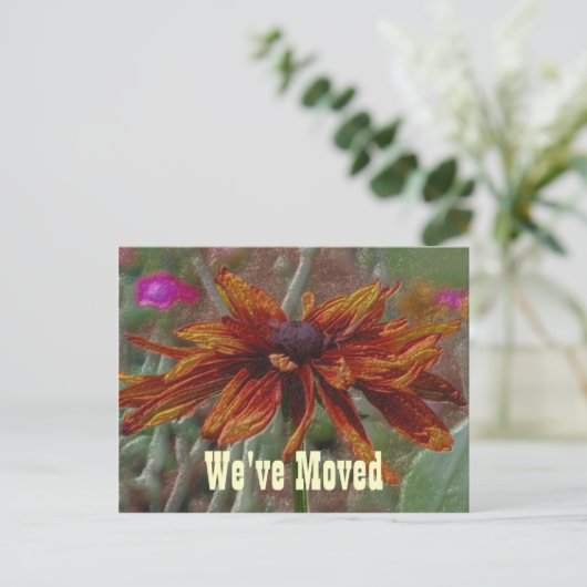 フローラアートデイジー新しい住所はがき 案内ポストカード (スタンド正面)