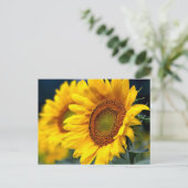 フローライエローサンフラワーズ – こんにちは、愛、ありがとう ポストカード (スタンド正面)