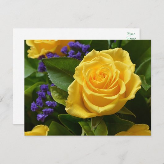 フローライエローローズ&パープルフラワーハローラブ ポストカード (正面/裏面)