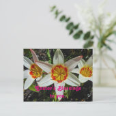 フローライースター恵み シーズンポストカード (スタンド正面)