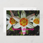 フローライースター恵み シーズンポストカード (正面/裏面)