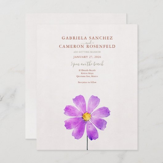 フローラウォーターカラーコスモスデイジーテラコッタ結婚ズ (正面/裏面)