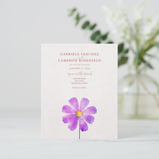 フローラウォーターカラーコスモスデイジーテラコッタ結婚ズ (スタンド正面)