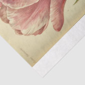 フローラエフェメラデコップピンクパープル春チューリップ 薄葉紙 (詳細)