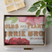 フローラエフェメラデコップピンク牡丹ヴィンテージ 薄葉紙 (ギフト)