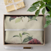 フローラエフェメラデコップブルゴーニュピンク赤面 薄葉紙 (ギフト)