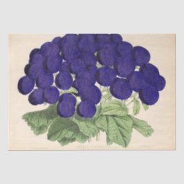 フローラエフェメラデコパージュパープフランスのルフラワーズティ 薄葉紙