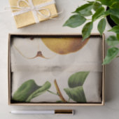 フローラエフエマデクページイエロー梨 薄葉紙 (ギフト)