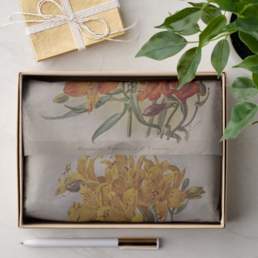 フローラエフエマデコップイエローオレンジ 薄葉紙 (ギフト)