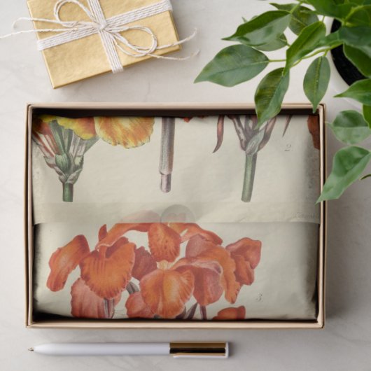 フローラエフエマデコップオレンジイエローフラワー 薄葉紙 (ギフト)