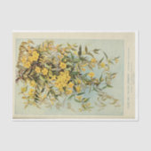 フローラエフエマデコップジャスミンサンフラワー 薄葉紙 (正面)