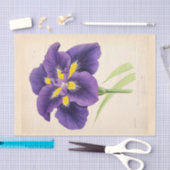 フローラエフエマデコップパープルフランスのフラワー 薄葉紙 (クラフト)