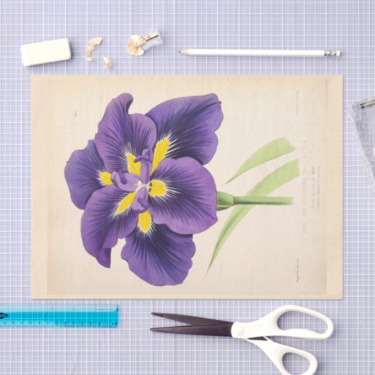 フローラエフエマデコップパープルフランスのフラワー 薄葉紙 (クラフト)