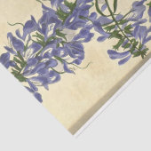 フローラエフエマデコップパープルブルー 薄葉紙 (詳細)