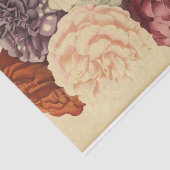 フローラエフエマデコップパープルホワイトピンク 薄葉紙 (詳細)