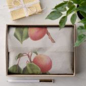 フローラエフエマデコップピンクピーチ 薄葉紙 (ギフト)