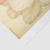 フローラエフエマデコップピンクホワイトロードデンドロン 薄葉紙 (詳細)